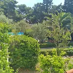 Vila Ilaria